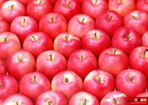 娱乐吃瓜酱苹果自带滤镜