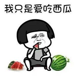 娱乐圈漫画吃瓜