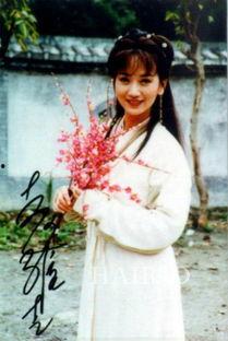 娱乐大典叶童赵雅芝,娱乐大典精彩纷呈