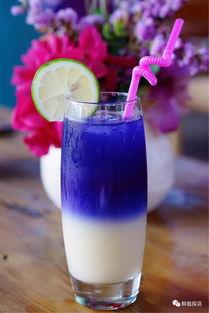 网红莉家,揭秘网络红人的魅力与影响力