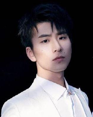 蔡程昱背景,从音乐梦想家到舞台明星的蜕变之路